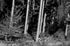 DP2_1870